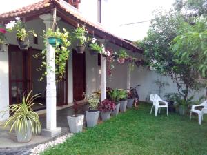a group of potted plants on the side of a house at Chelli Homestay in Negombo