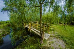 a wooden bench next to a tree next to a river at Dunaiskaya Usadba in Vylkove