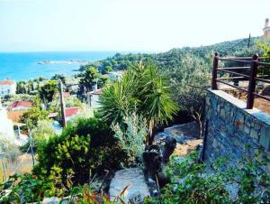 een uitzicht op de oceaan vanaf een heuvel met een palmboom bij Alexander's in Kritharia