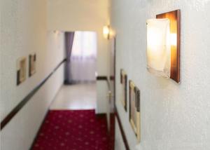 Fotografie z fotogalerie ubytování Shine Hotel v Oděse