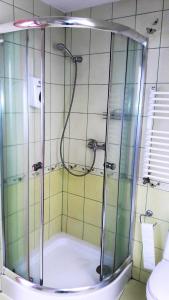 a shower with a glass door in a bathroom at Apartamenty Gościnne Med-Palace in Niemodlin