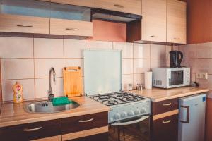 Kuchyň nebo kuchyňský kout v ubytování Viktoria Apartment + 7 fotografií