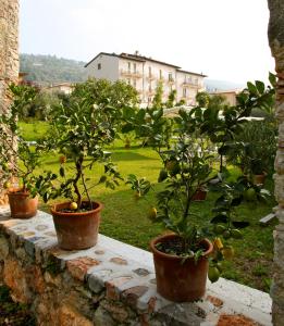 Zahrada ubytování Hotel Belvedere