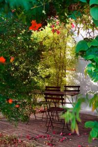Fotografia z galérie ubytovania Bungalows Puravida v destinácii Zahora