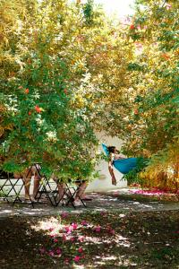 Fotografia z galérie ubytovania Bungalows Puravida v destinácii Zahora