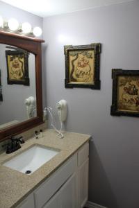 a bathroom with a sink and a mirror at Brydan Suites in Eureka Springs