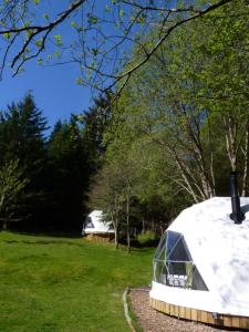 a couple of tents in a field with trees at Inver Coille Campsite in Fort Augustus