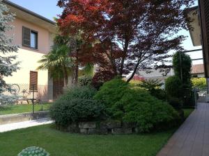 un jardín frente a una casa con un árbol en Pellico Apartment, en Brusaporto