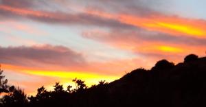 a sunset with trees in the foreground at Irini Studios in Plomari +37 photos