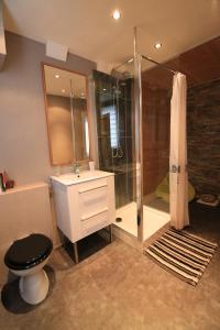 a bathroom with a shower and a toilet and a sink at Le Nid Bord De La Loire in Orléans