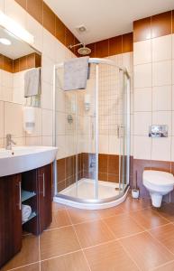 a bathroom with a shower and a sink and a toilet at Apartamenty Chełmno in Chełmno +33 photos