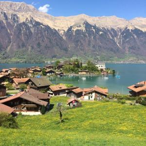 un pueblo con un lago y montañas en el fondo en Switzerland Iseltwald Apartment en Iseltwald
