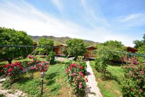 a garden with flowers and a house in the background at Lemon Garden Lodge in Cıralı