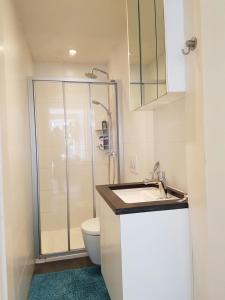 a bathroom with a shower and a sink and a toilet at Appart Noah in Knokke-Heist