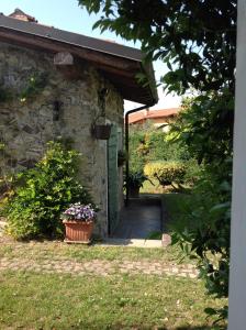 A garden outside Il Gelsomino