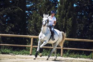 VillamagnaB&B Diacceroni的骑着白马在围栏前的女人