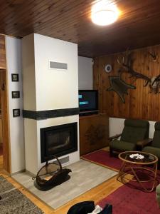 sala de estar con chimenea y TV en Chata Lucia, en Stará Lesná