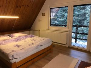 Schlafzimmer mit einem Bett und einem Fenster in der Unterkunft Chata Lucia in Stará Lesná