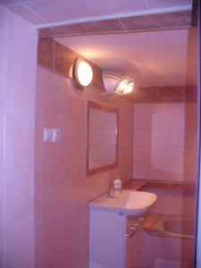a bathroom with a sink and a mirror at Piteľová-Babica in Pitelová