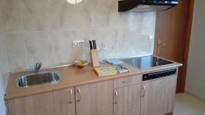 Una cocina o zona de cocina en Apartaments Els Temporers
