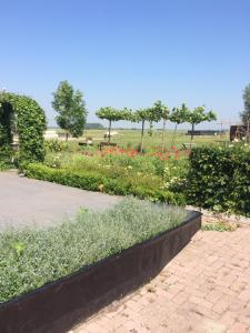 un jardín con flores y un parque al fondo en de Hoeksesluis, en Lekkerkerk