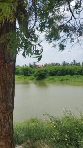 Paesaggio naturale nelle vicinanze dell'affittacamere