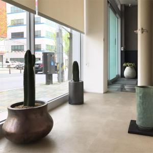 Fotografie z fotogalerie ubytování Wood House Hotel v destinaci Pusan