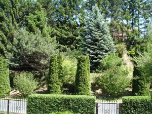 A garden outside Biro Apartman