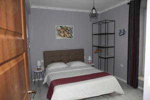 a bedroom with a bed and a dresser at Funky Guest House & Adventures in Përmet