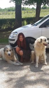 Una donna in ginocchio accanto a due cani vicino a un'auto. di Artenatura BeB a Terranuova Bracciolini