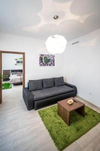 salon z czarną kanapą i stołem w obiekcie Apartmán Dolní náměstí w Ołomuńcu