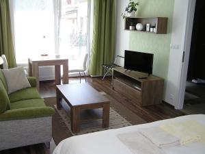 TV a/nebo společenská místnost v ubytování Gonda Apartments