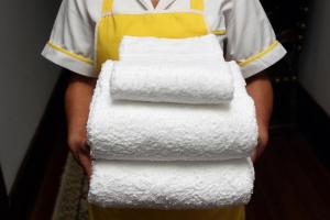 a person holding a stack of toilet paper at Solar de Chacim - Turismo de Habitação in Chacim