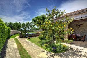 Zahrada ubytování Villa Orbanici
