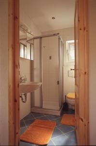 uma casa de banho com um lavatório, um chuveiro e um WC. em Ferienwohnung "Am Waldsaum" em Kurort Gohrisch