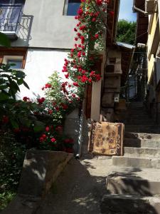 un callejón con flores rojas en un edificio en Diana Guesthouse, en Veliko Tŭrnovo
