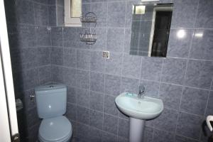 un baño con inodoro y lavabo en Guest House Ivanovi, en Banya 29 fotos más