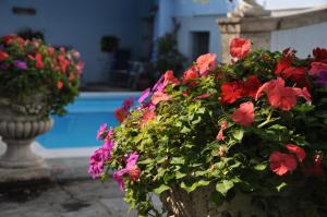 um ramo de flores num vaso ao lado de uma piscina em Villa Annamaria B&B em Domaso