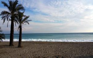 due palme su una spiaggia con l'oceano di Luna Rooms a Savona