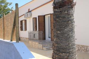 a palm tree in front of a house at Casa Sole e Vento in Birgi Vecchi