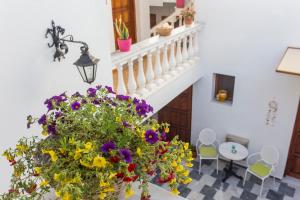 Galeriebild der Unterkunft AKANTHUS STUDIOS - Ex Vergos Pavlos in Parga