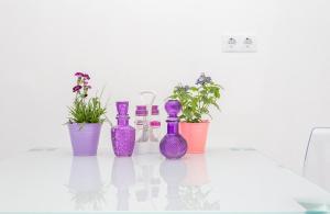 赫瓦尔Apartments Gabelic的相册照片