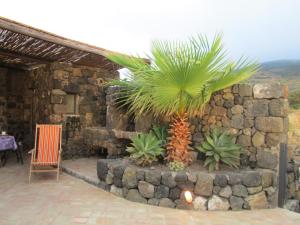 a stone wall with a palm tree on a patio at Dammusi La Favarotta in Pantelleria