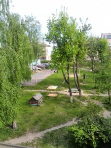 ein Park mit einer Bank und Bäumen und einer Straße in der Unterkunft Apartment Na Kamsamolskoy in Baranawitschy