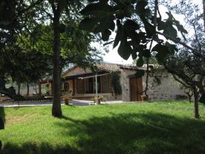 a house in a yard with a grassy field and trees at Pietra Maula Agriturismo in Castelraimondo