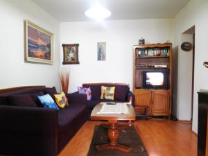 un soggiorno con un divano, un tavolo e una TV di GuestHouse Zabljak a Žabljak