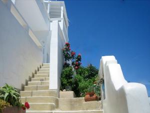 Fotografie z fotogalerie ubytování Studios Anemomilos v destinaci Astypalaia