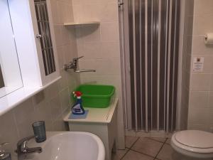 un bagno con lavandino, servizi igienici e contenitore verde di Appartamenti In Villa La Marinedda a Isola Rossa