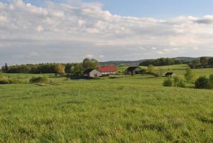a field of green grass with a barn in the distance at Siedlisko Jagiele in Jagiele