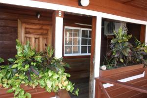 Jardí fora de Utila Lodge